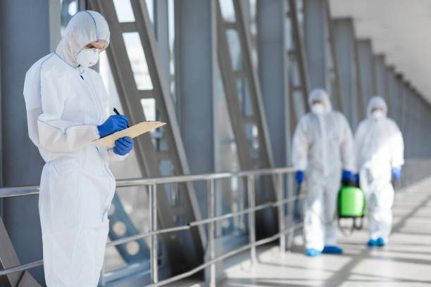 Best Mold Remediation for Healthcare Facilities  in Morrilton, AR