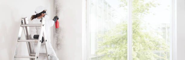 Best Air Quality Testing for Mold Spores  in Morrilton, AR