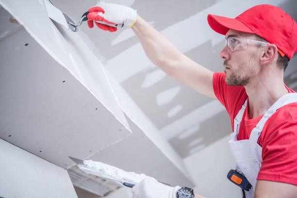 Best Biohazard Mold Removal  in Morrilton, AR