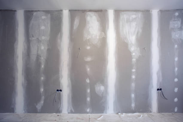 Best Asbestos and Lead Testing During Mold Inspection  in Morrilton, AR